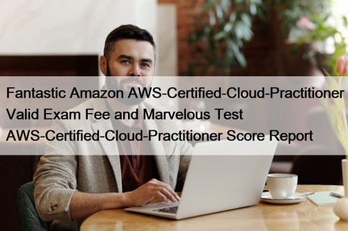 Fantastic Amazon AWS-Certified-Cloud-Practitioner Valid Exam Fee and Marvelous ...