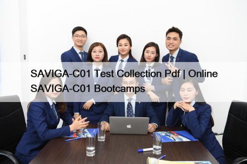 SAVIGA-C01 Test Collection Pdf | Online SAVIGA-C01 Bootcamps